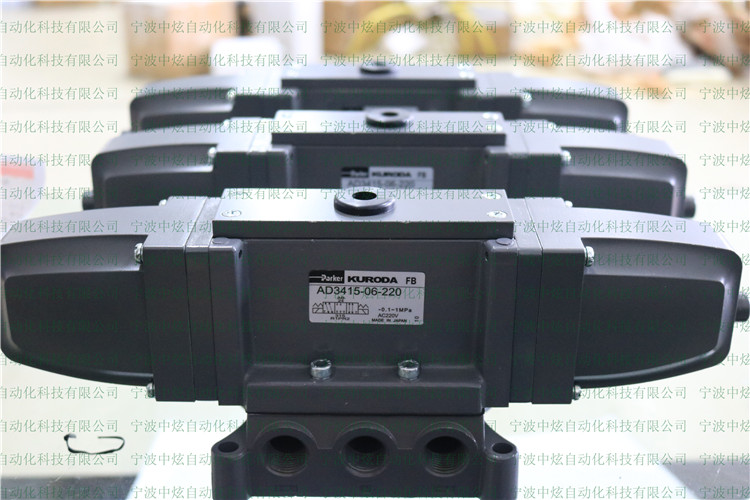 Van kuroda AD2408, AD2410