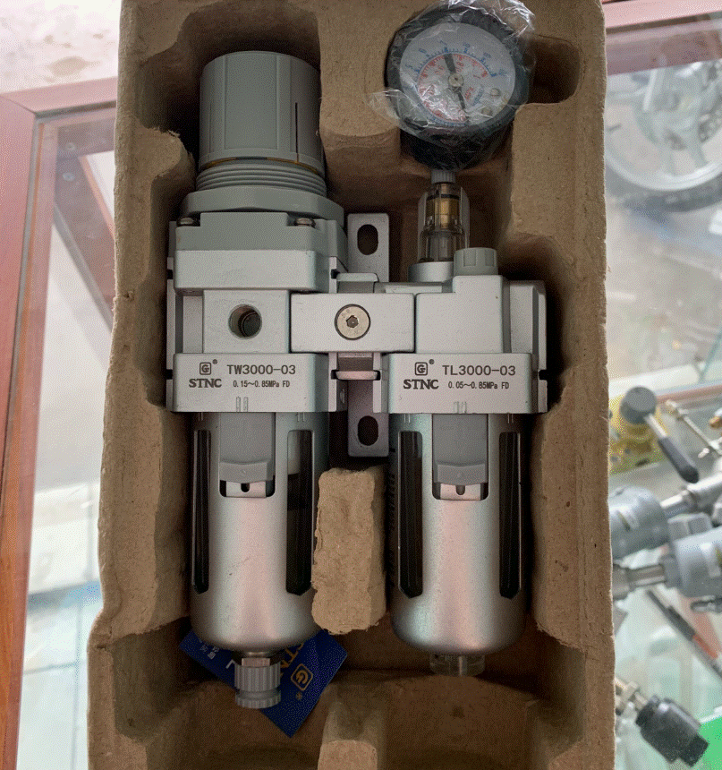 Bộ lọc đôi khí nén STNC TC3010-03